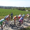 plumelec-2015-juniors-46.JPG