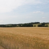 treal-14-06-20158-092