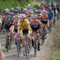 Peloton